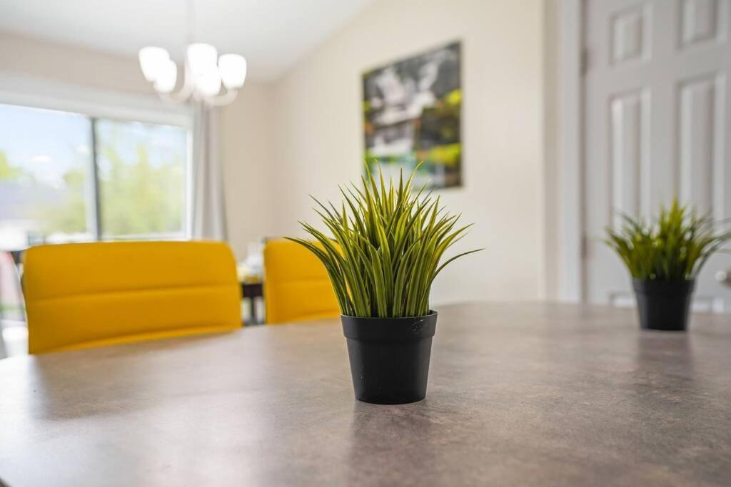 Remodeled, Charming Retreat On The City'S Doorstep Boise Dış mekan fotoğraf